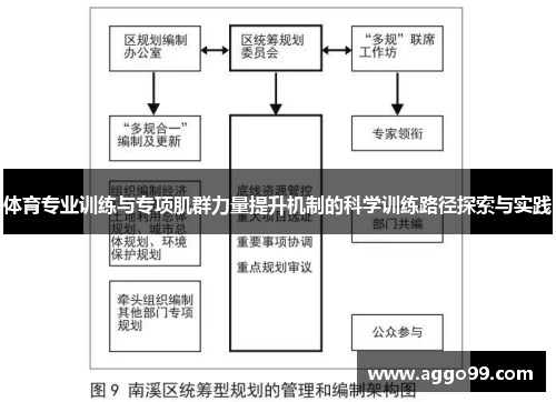 体育专业训练与专项肌群力量提升机制的科学训练路径探索与实践