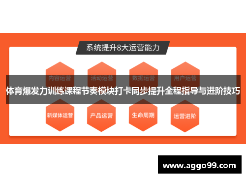体育爆发力训练课程节奏模块打卡同步提升全程指导与进阶技巧