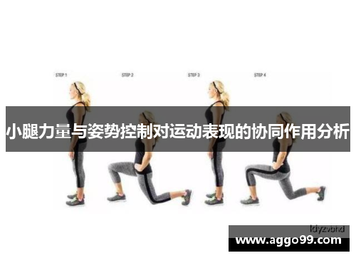 小腿力量与姿势控制对运动表现的协同作用分析